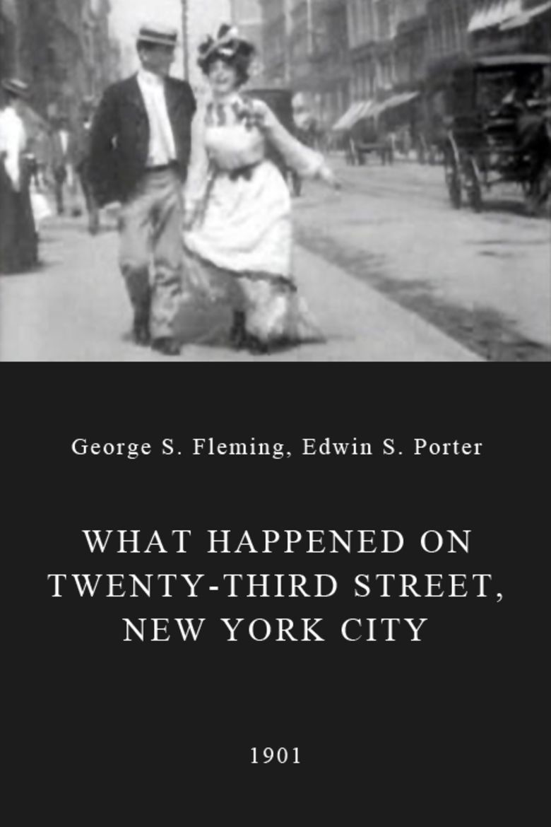 What Happened on Twenty third Street, New York City movie poster