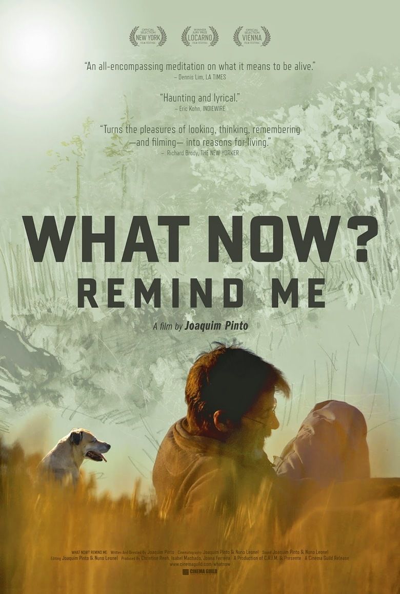 What Now Remind Me movie poster