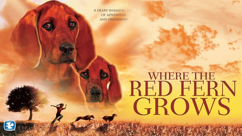 Where the Red Fern Grows (1974 film) movie scenes