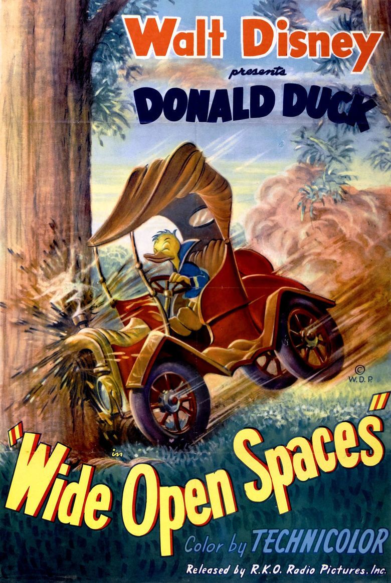 Wide Open Spaces (1947 film) movie poster