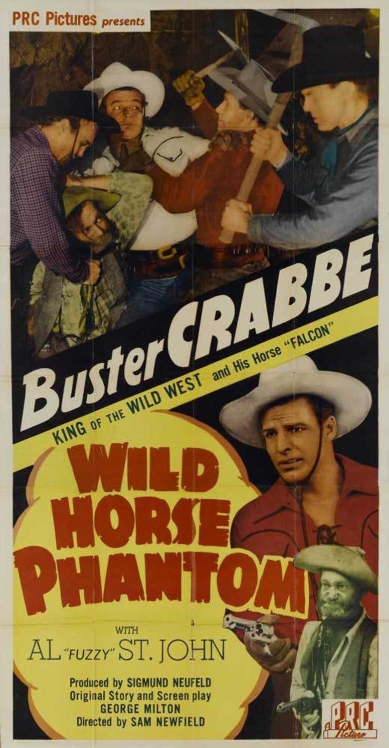 Wild Horse Phantom movie poster