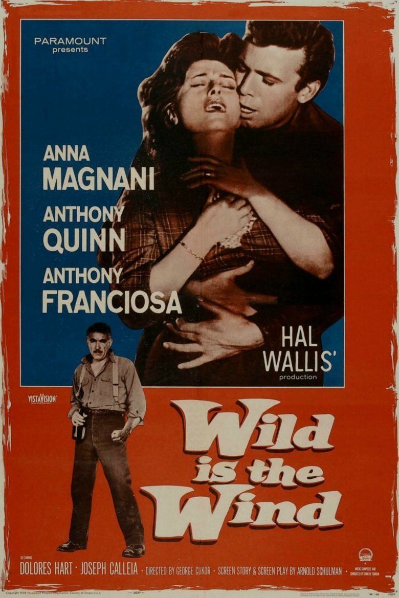 Wild Is the Wind movie poster
