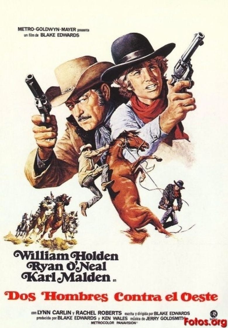 Wild Rovers movie poster