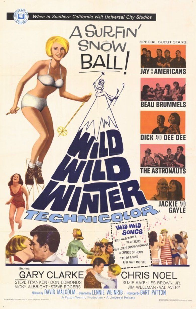 Wild Wild Winter movie poster