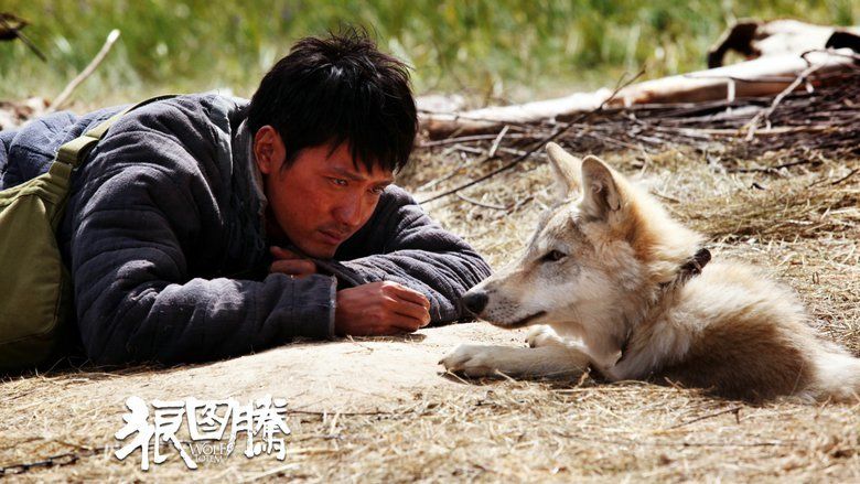 Wolf Totem (film) movie scenes