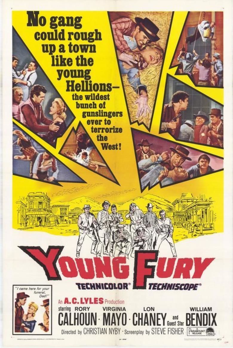 Young Fury movie poster