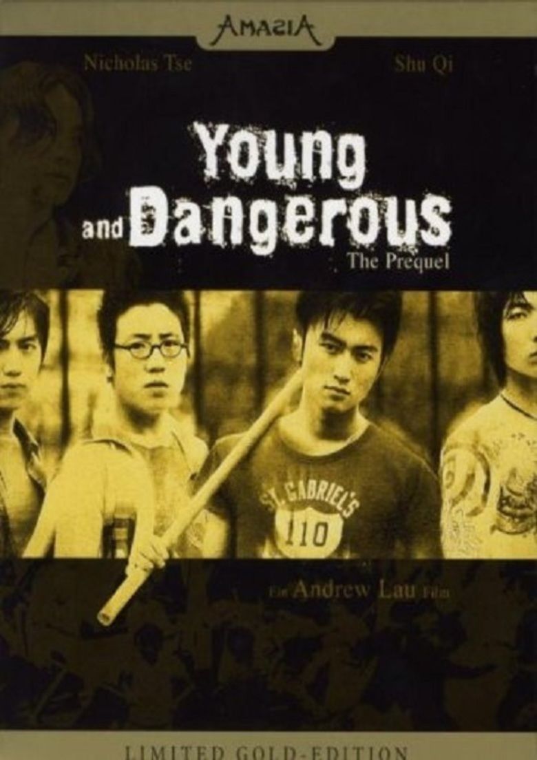 Young and Dangerous: The Prequel movie poster