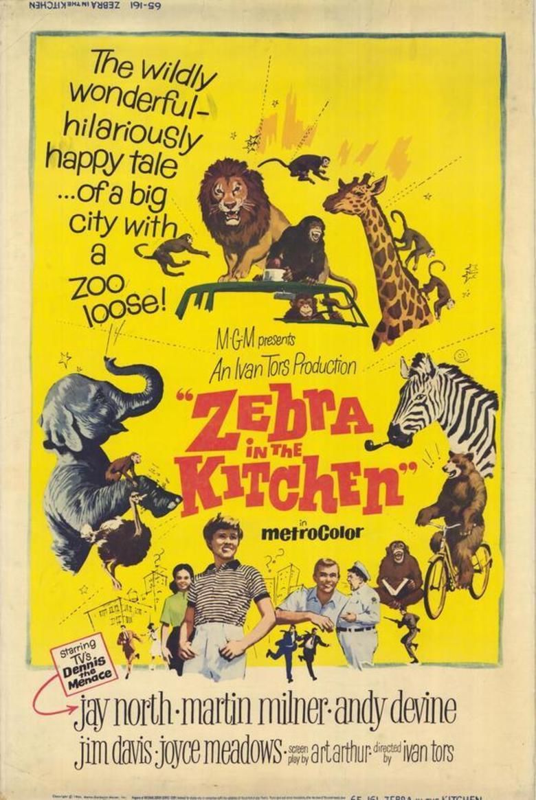 Zebra in the Kitchen movie poster