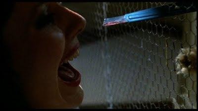 A Blade in the Dark A Blade in The Dark 1983 BluRay Review UK Horror Scene