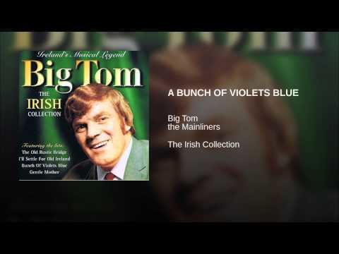 A Bunch of Violets (film) A Bunch Of Violets Blue Big Tom Shazam