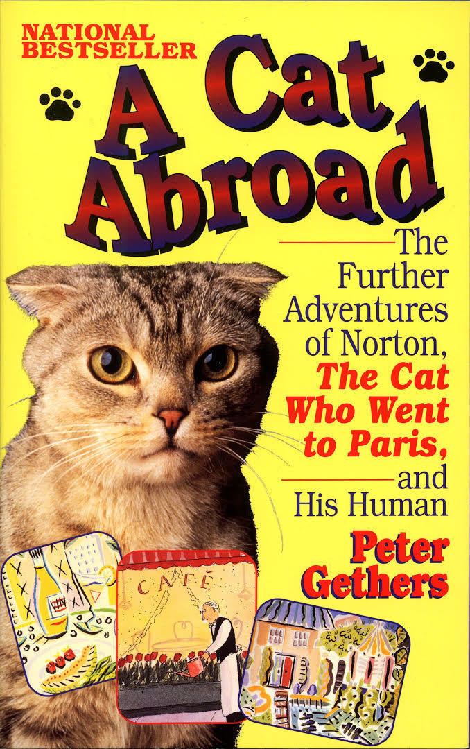 A Cat Abroad t2gstaticcomimagesqtbnANd9GcQEuJSqEqtFBnUfH