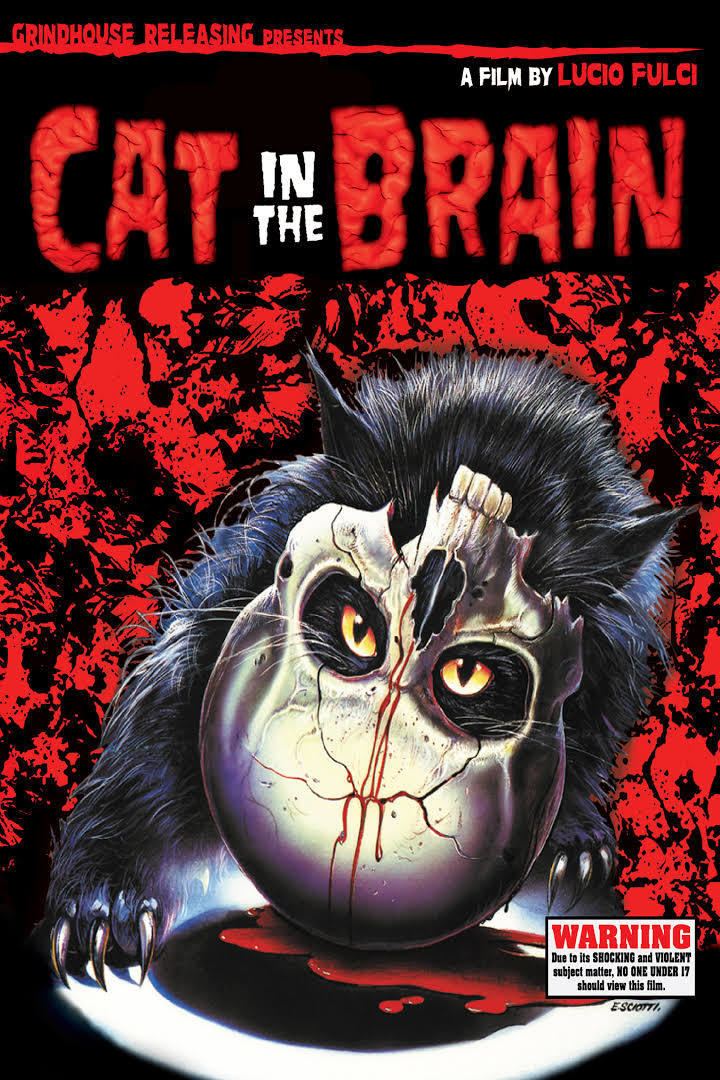 A Cat in the Brain t2gstaticcomimagesqtbnANd9GcSFcsCw9b7AAOUp6