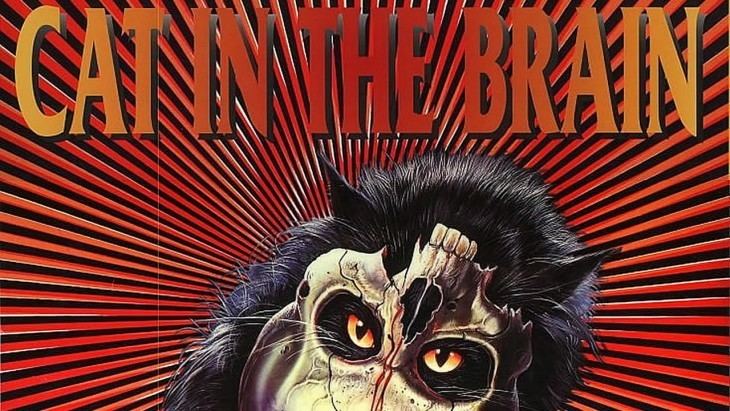 A Cat in the Brain Grindhouse Releasing Unleashes CAT IN THE BRAIN on Bluray this