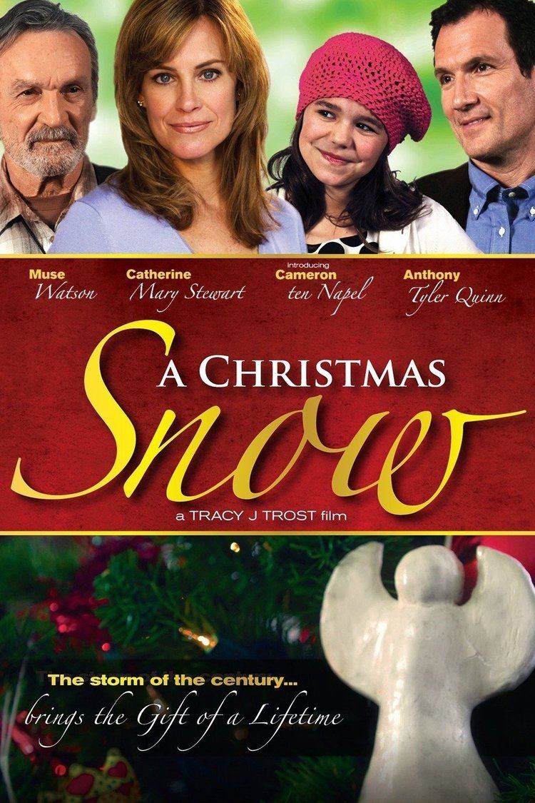 A Christmas Snow wwwgstaticcomtvthumbmovieposters8237460p823