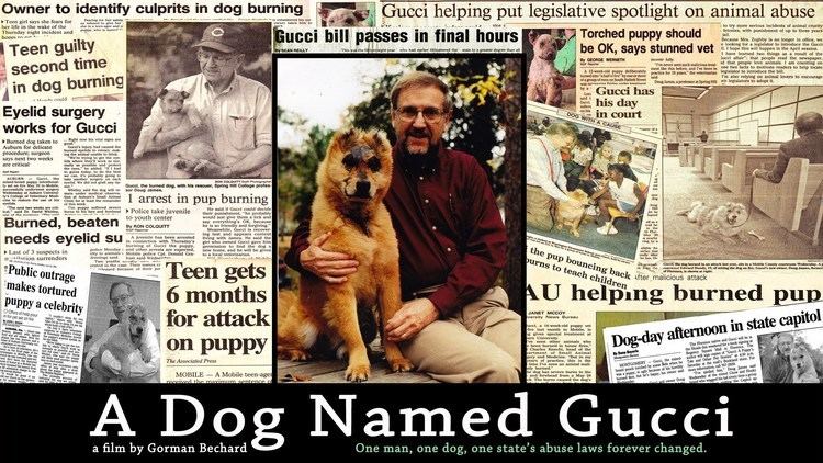 A Dog Named Gucci A DOG NAMED GUCCI trailer 1 YouTube