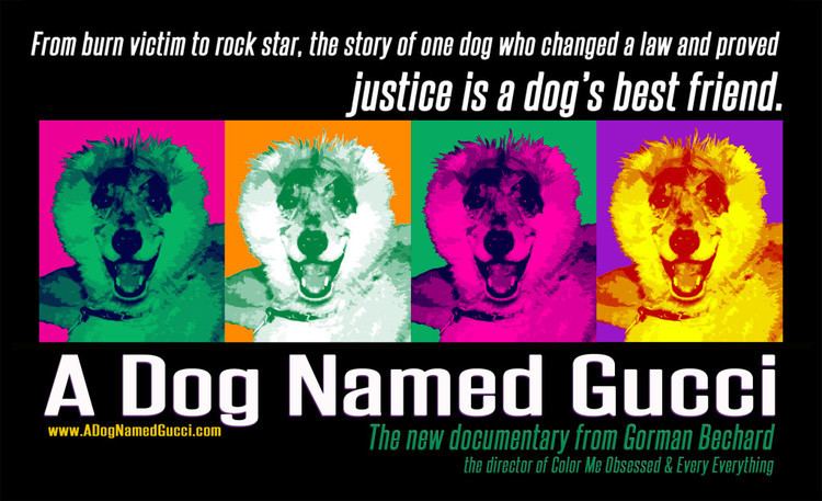 A Dog Named Gucci A DOG NAMED GUCCI