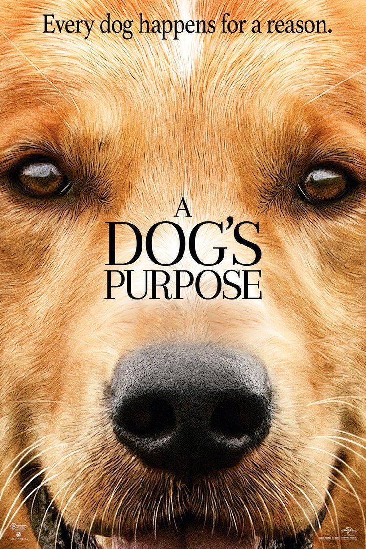 A Dog's Purpose (film) wwwgstaticcomtvthumbmovieposters12962810p12