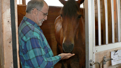 A Horse Called Bear Christian Worldview Film Festival A Horse Called Bear