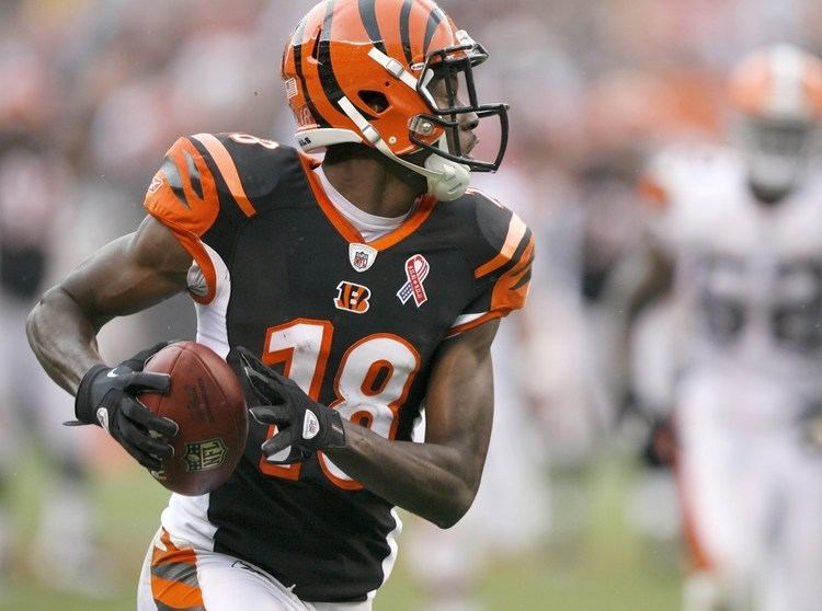 A. J. Green AJ Green 20122013 Highlights HD YouTube