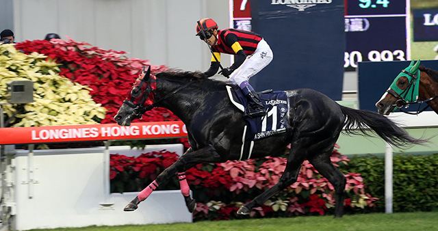 A Shin Hikari Horse Races amp Events Reaction To A Shin Hikari Ascot