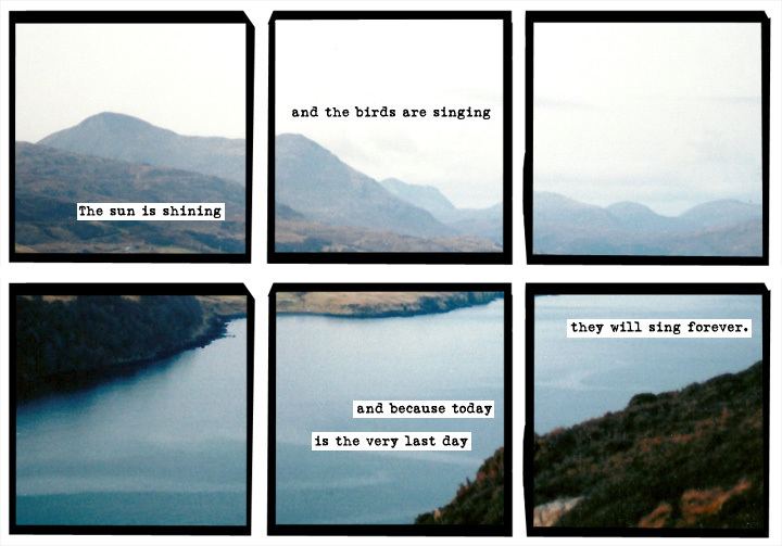 A Softer World It39s the end of a softer world An Interview with Emily Horne and