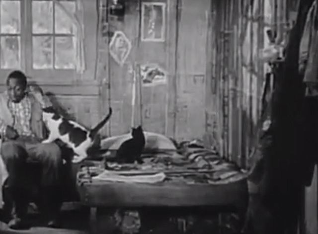 A Tough Winter 1930 Cinema Cats