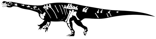 Aardonyx The Aardonyx FAQ The Evolving Paleontologist