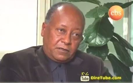 Abay Tsehaye SBS Amharic Interview With Abay Tsehaye
