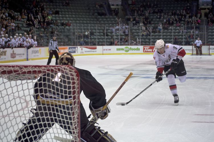 Abbotsford Heat Photo gallery Abbotsford Heat vs Texas Stars Pucked in the Head