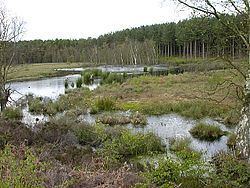 Abbotts Moss Nature Reserve httpsuploadwikimediaorgwikipediacommonsthu