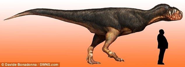 Abelisauridae Dinosaur Abelisauridae is identified after its fossil was forgotten