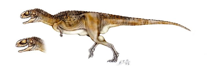 Abelisaurus Abelisaurus Facts and Pictures