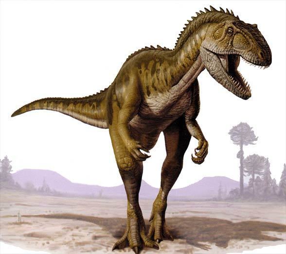 Abelisaurus dinoanimalscomwpcontentuploads201608Abelisa