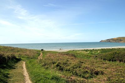 Abermawr Photographs and Article about Abermawr beach We show you some of