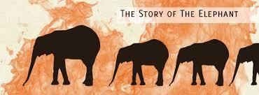 Abraha Abraha39s Elephant and the Destruction of Kabah
