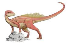 Abrictosaurus Abrictosaurus Wikipedia