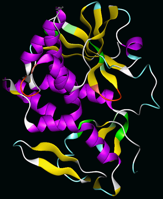 Abrin Abrina Achain structure