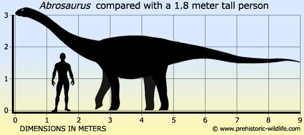 Abrosaurus - Alchetron, The Free Social Encyclopedia