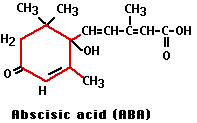Abscisic acid Abscisic Acid ABA