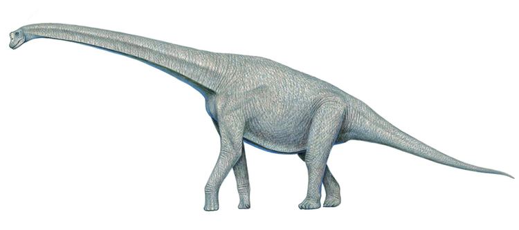 Abydosaurus 10 Facts About Abydosaurus Animal Facts Pinterest Facts and