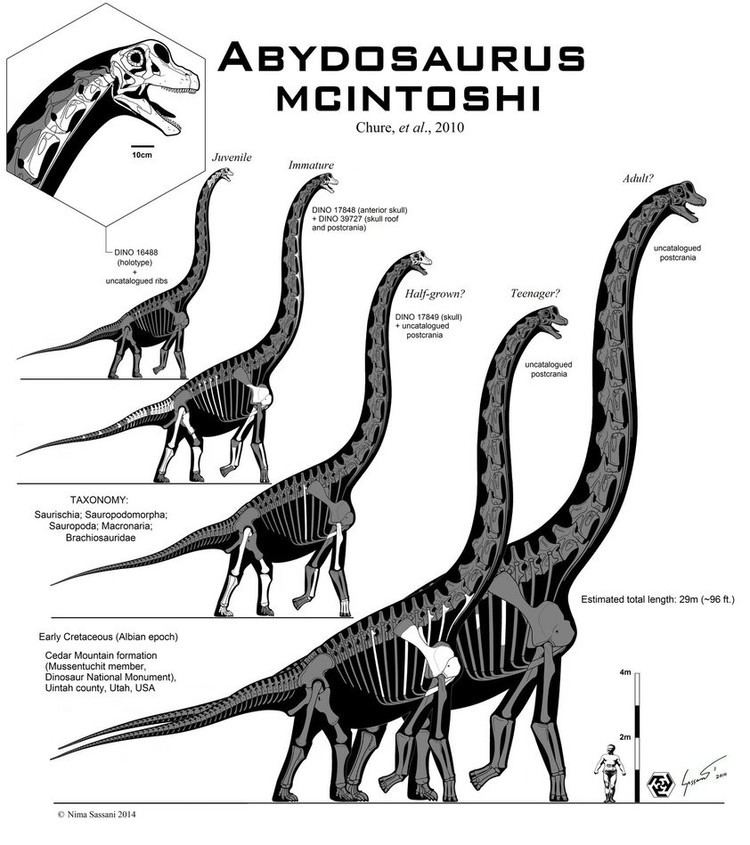Abydosaurus Abydosaurus Pictures amp Facts The Dinosaur Database