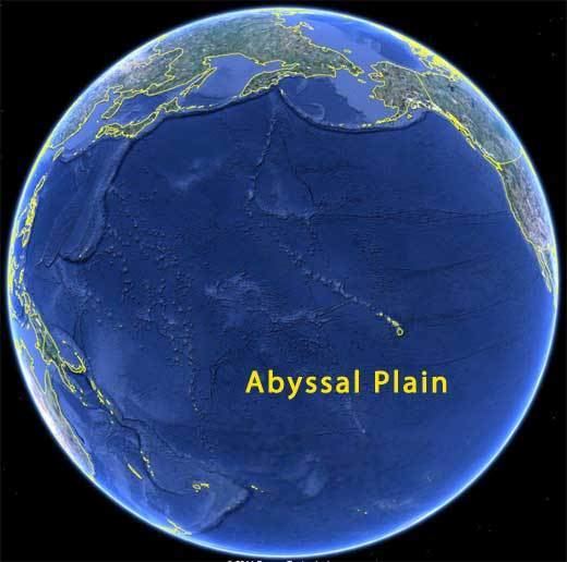 Abyssal plain Abyssal Plain Ocean Floor Sea Bed