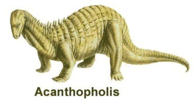 Acanthopholis Acanthopholis Pictures amp Facts The Dinosaur Database