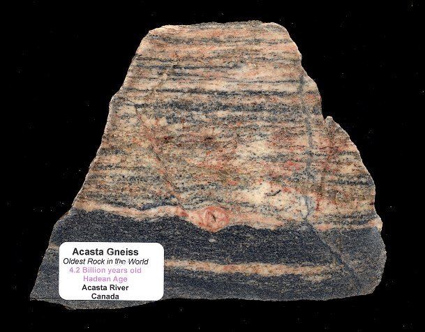 Acasta Gneiss FossilsForSalecom presented by EXTINCTIONS Inc