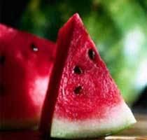 Accessory fruit wwwfruitsinfocomimageswatermelon1jpg