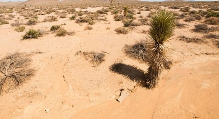 Accona Desert Accona Desert in Italy HappyTripscom