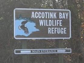 Accotink Bay Wildlife Refuge httpsuploadwikimediaorgwikipediacommons88
