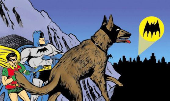 Ace the Bat-Hound Ace the BatHound Character Comic Vine