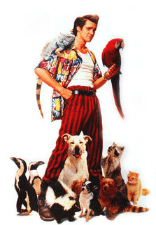 Ace Ventura (film series) movie poster