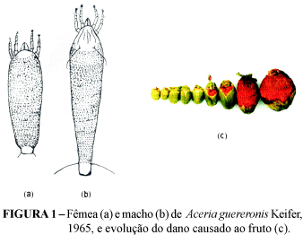 Aceria guerreronis Efficiency evaluation of mitecide to control the mite Aceria